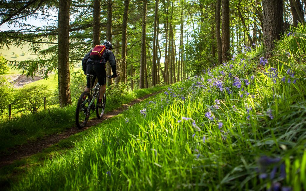 mountain bike trails north wales